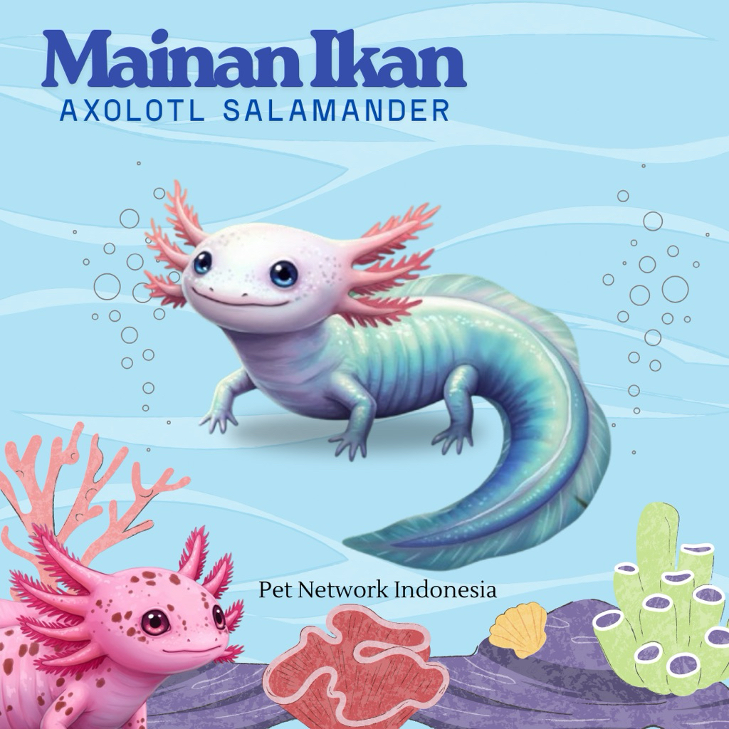 MURAH MAINAN ANAK AXOLOTL/SALAMANDER PREMIUM QUALITY