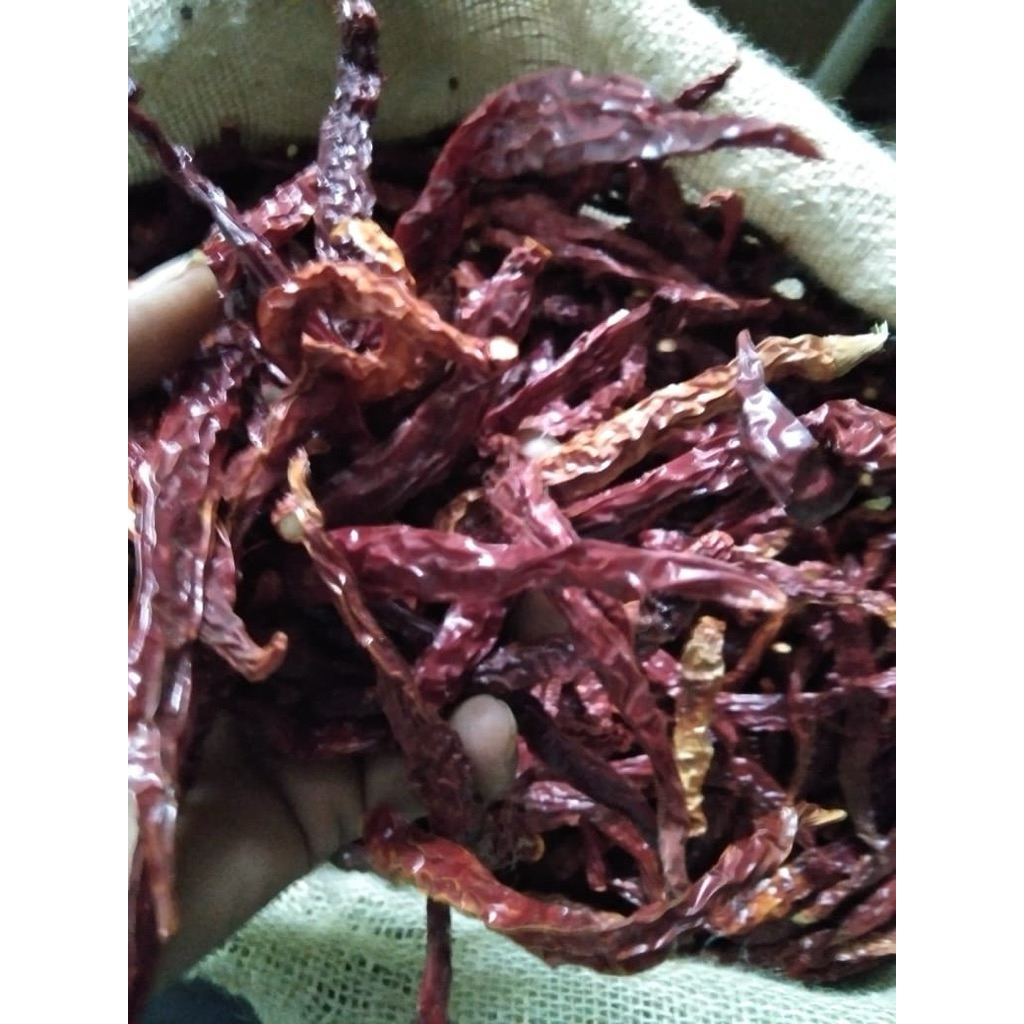 

cabe keriting merah kering tanpa tangkai 1 kg