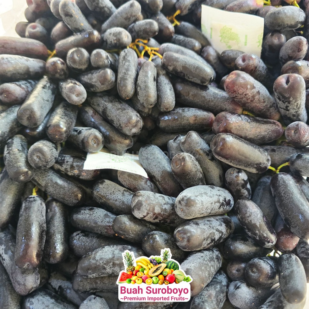 

Anggur Sweet Shappire (Tanpa Biji)