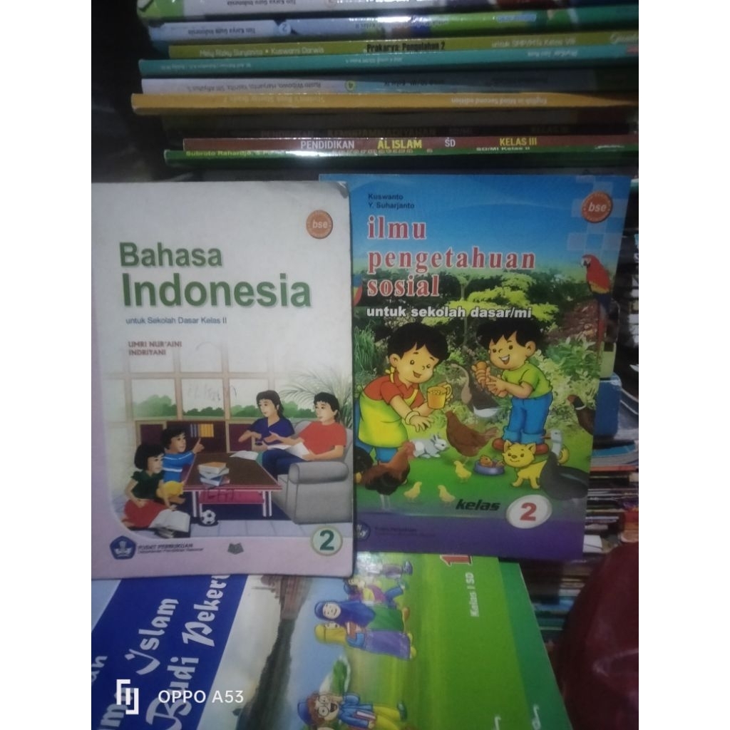 BAHASA INDONESIA,IPS BSE SD/MI KELAS 2, 5 BSE