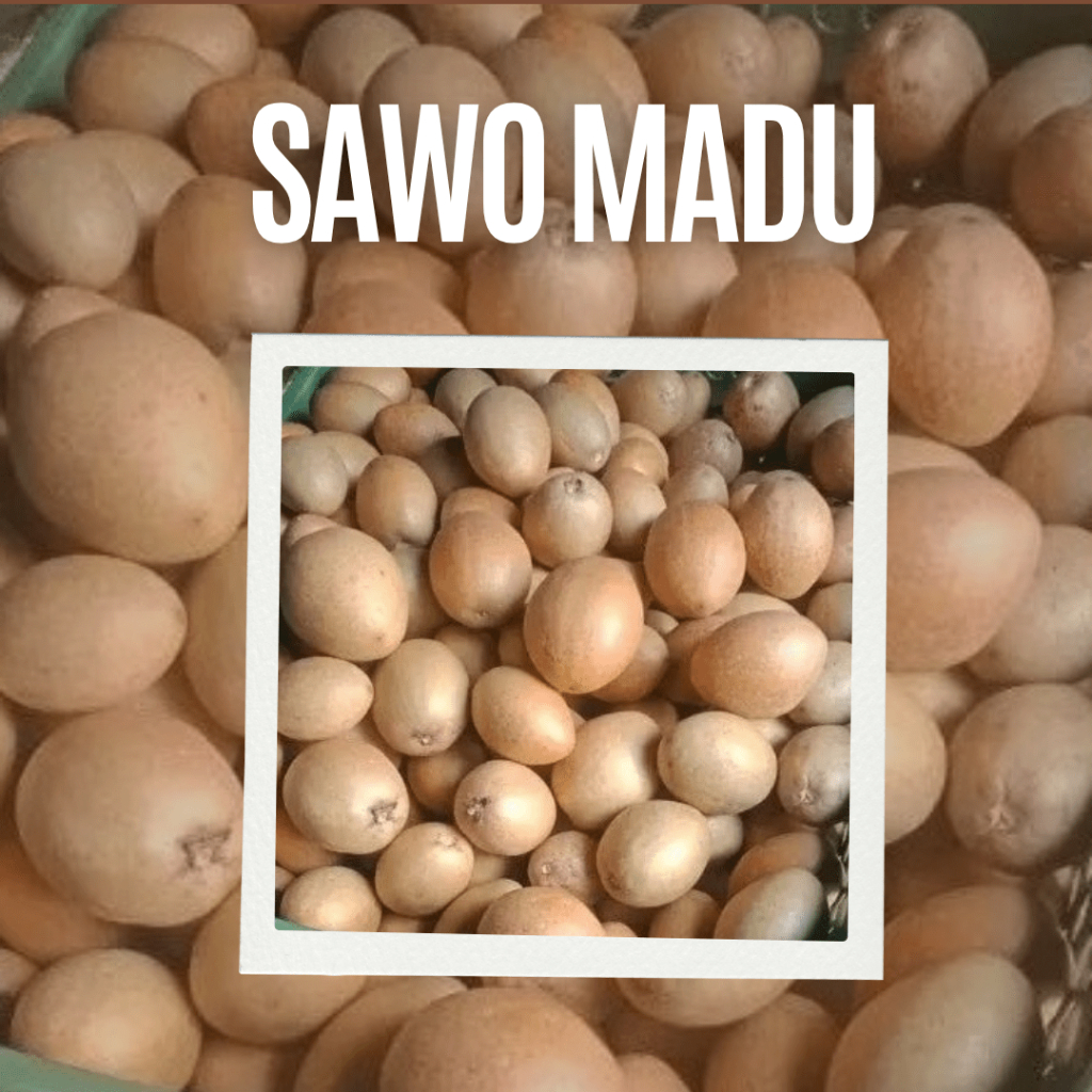 

Buah sawo madu mengkal tua 1kg