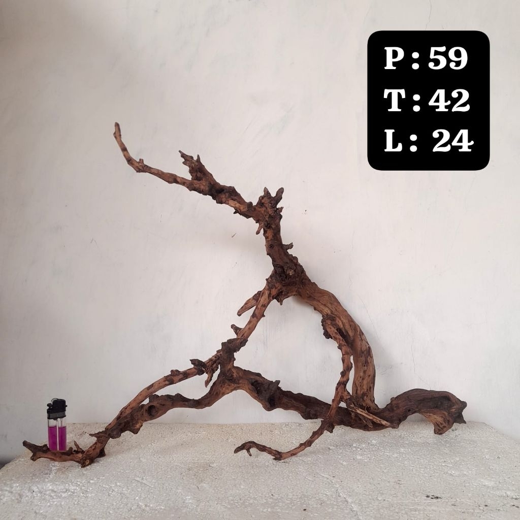 Kayu Aquascape - Kayu Santigi