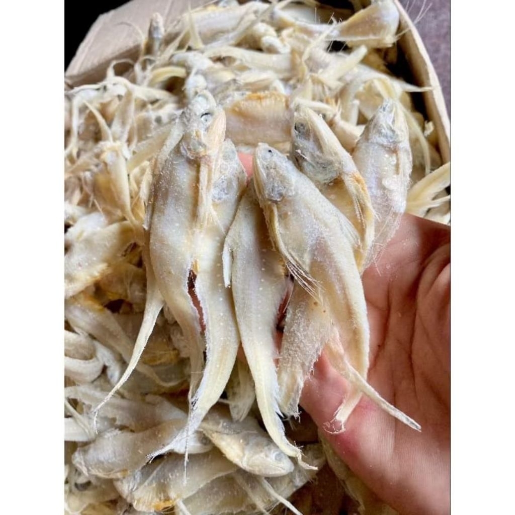 

IKAN ASIN BULUAYAM / Ikan asin Buluayam Bangka Kualitas premium ♛1kg