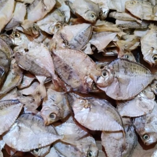 

Ikan Asin Dodok enak gurih kemasan 500 gr