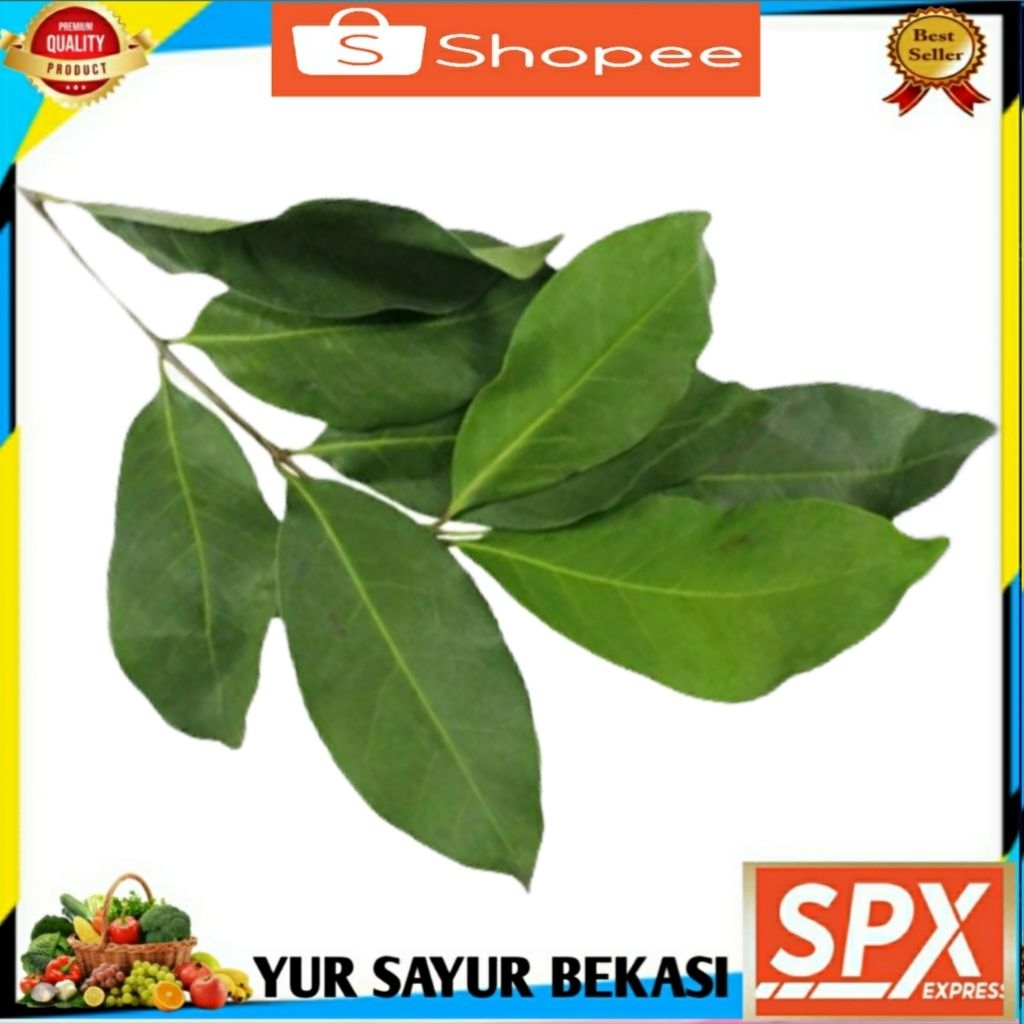 

Daun Salam Segar (1 ikat).