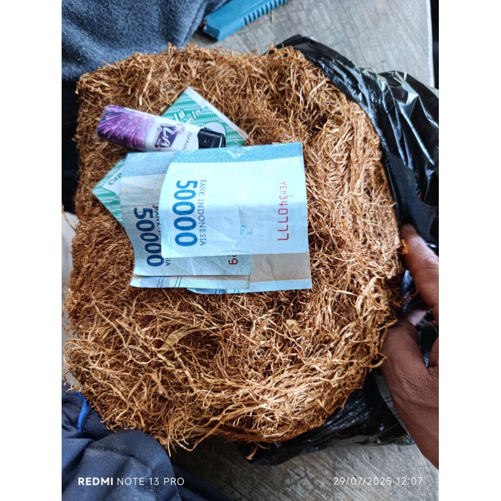 

manisan kasturi lombok daun super ada