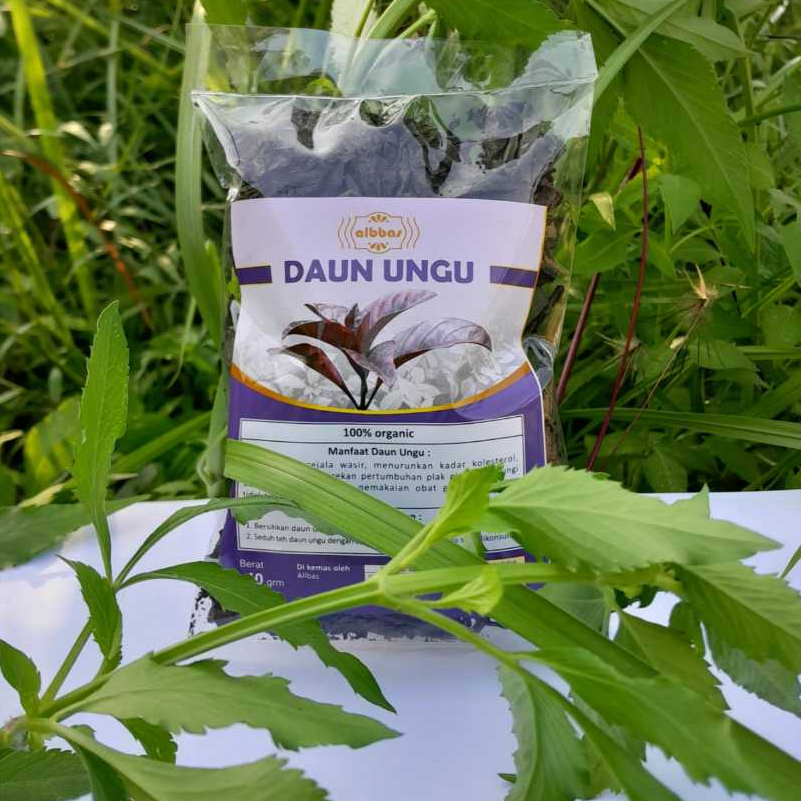 

Herbal Teh Seduh Daun Ungu 40 gram Curah Daun Ungu Kering Organik Untuk Atasi Wasir Ambeien Melancarkan BAB
