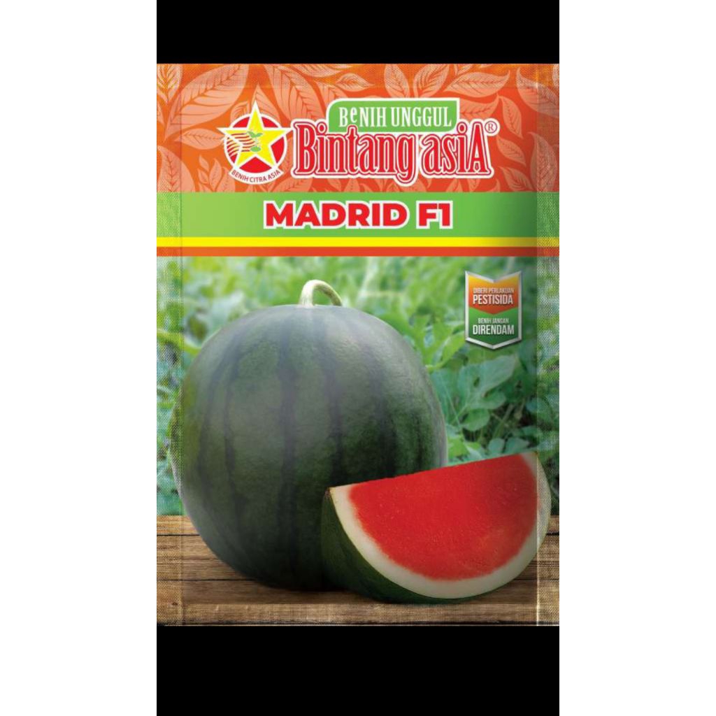 

bibit semangka madrid f1