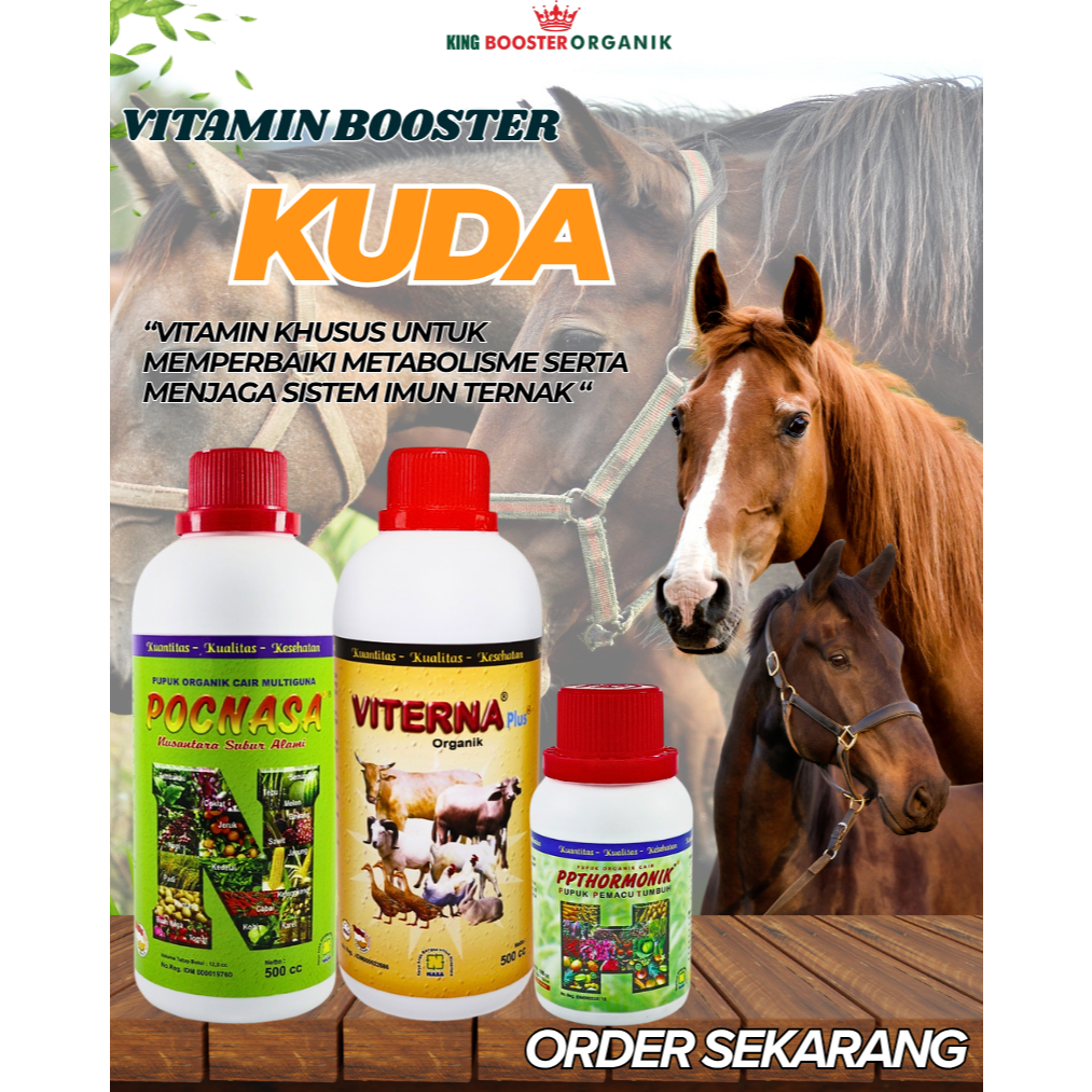 Viterna Nasa - Paket Vitamin Kuda Pacu Agar Sehat dan Bertenaga Hormonik Viterna Nasa untuk Ternak L