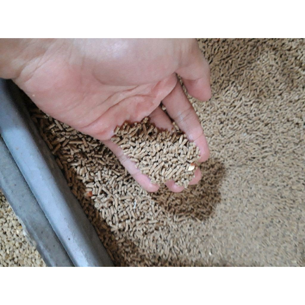 PAKAN PUR BURUNG JALAK TRUCUK KUTILANG 500 GRAM