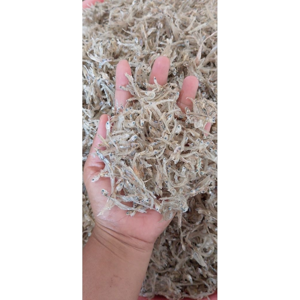 

TERI Nasi tawar kering kemasan 500g 1 kg