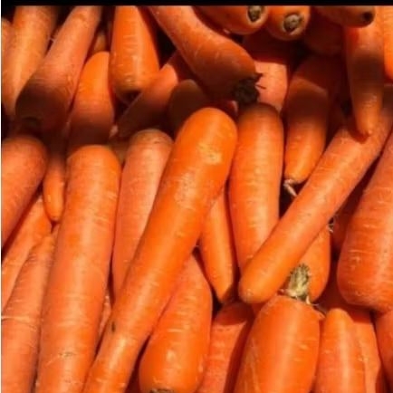 

wortel segar 1000gr / 1kg