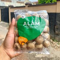 

Baso Alam BI - Bakso Daging Sapi dan Ayam Kombinasi - Isi 50 pcs - Frozen Food Instan