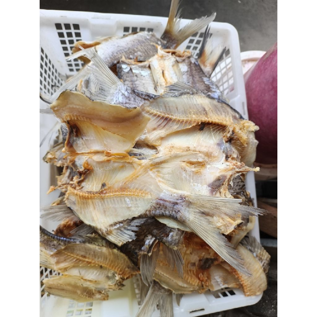 

ikan asin tengadak