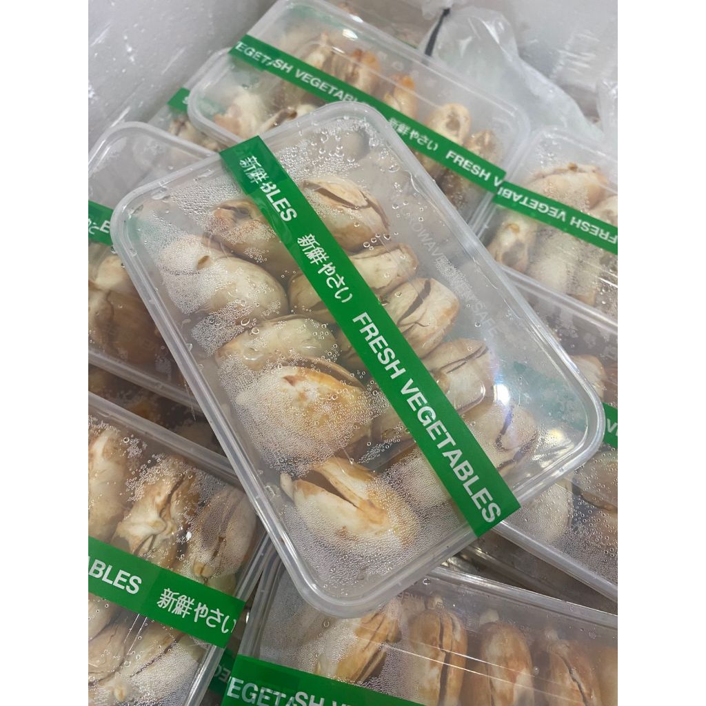 

BUAH LONTAR. LONTAR FRESH. BUAH SEGAR LONTAR