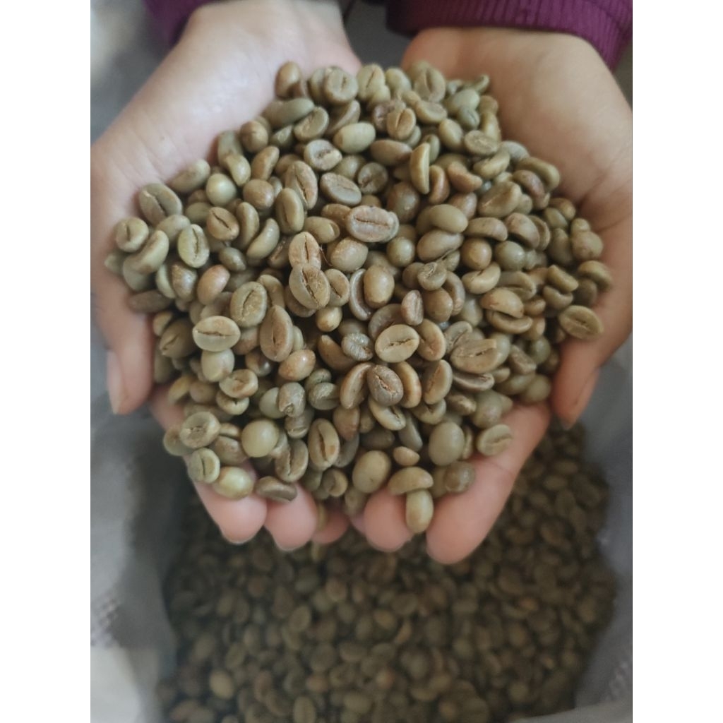

biji kopi 500 gram Fine Robusta greenbean Temanggung asli