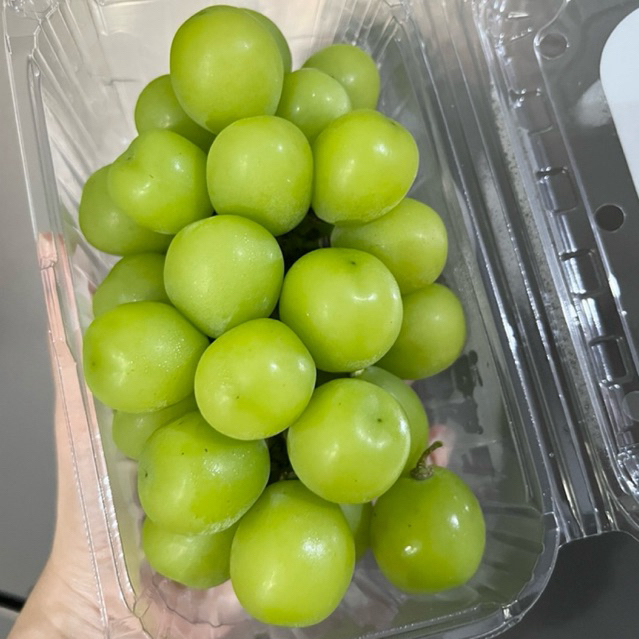 

Anggur Hijau Shine Muscat