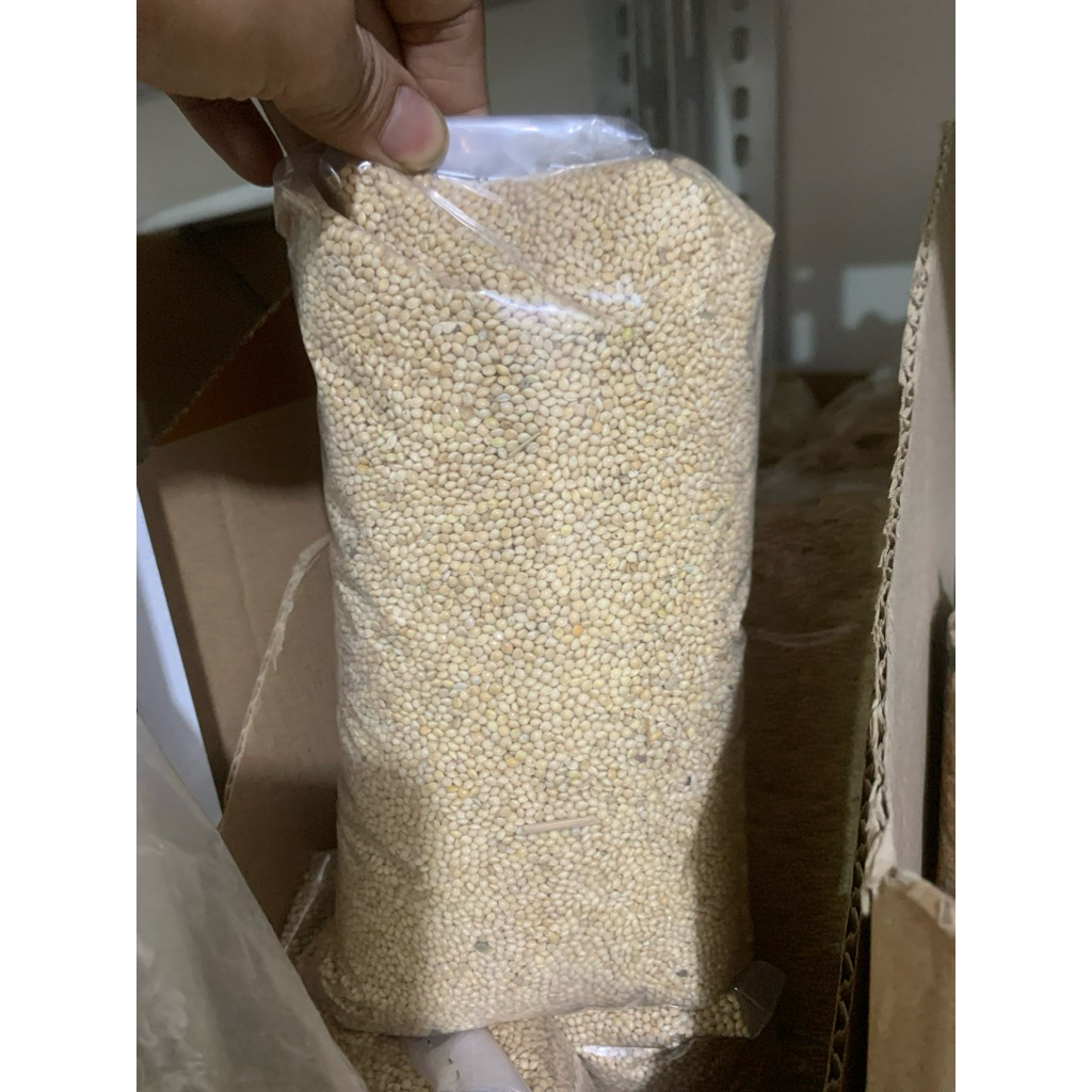 Pakan Burung Milet Putih White Millet 1kg