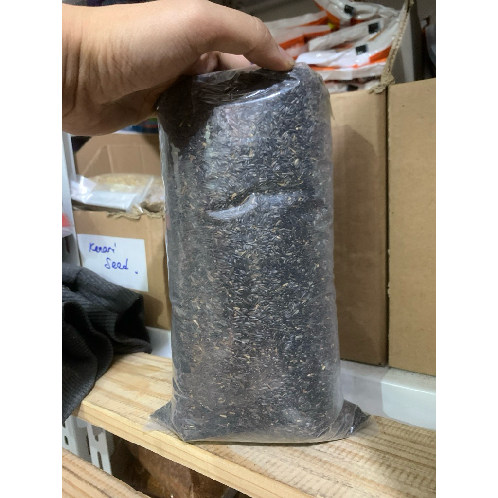 NIGER SEED Pakan Burung Kenari Finch Blacktrhoat