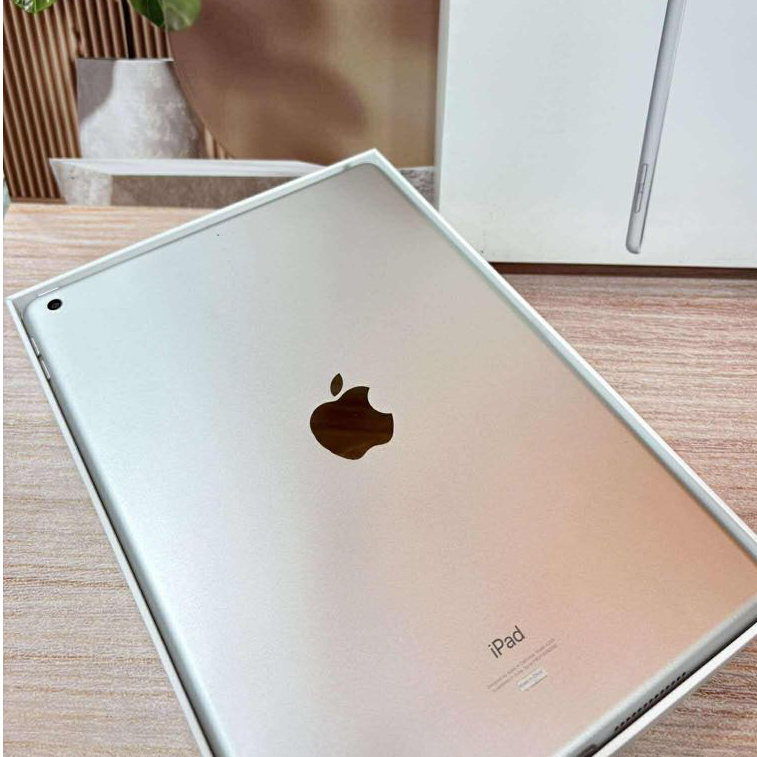 iPad 8 32GB Wifi Silver Second Original Ex Garansi Inter