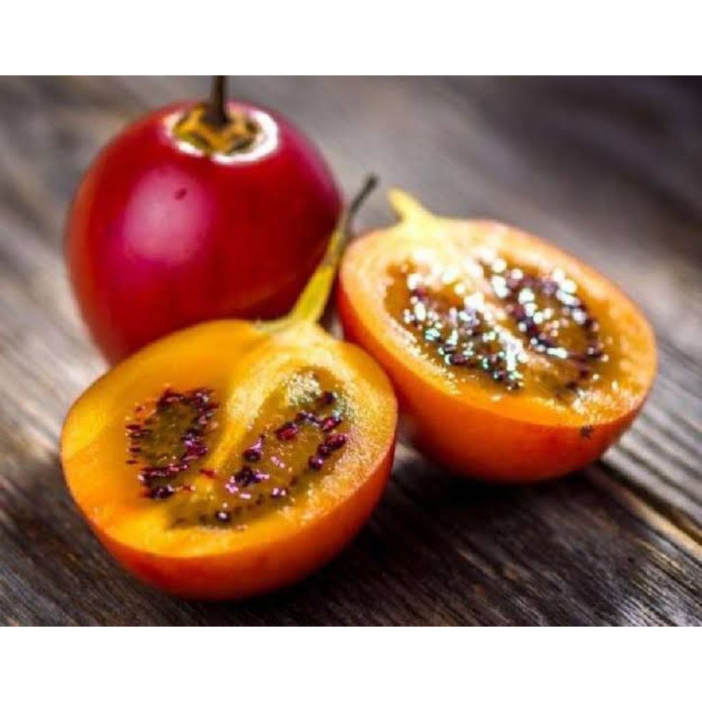 

Buah Terong Belanda fresh 500 gram (Buah Segar)