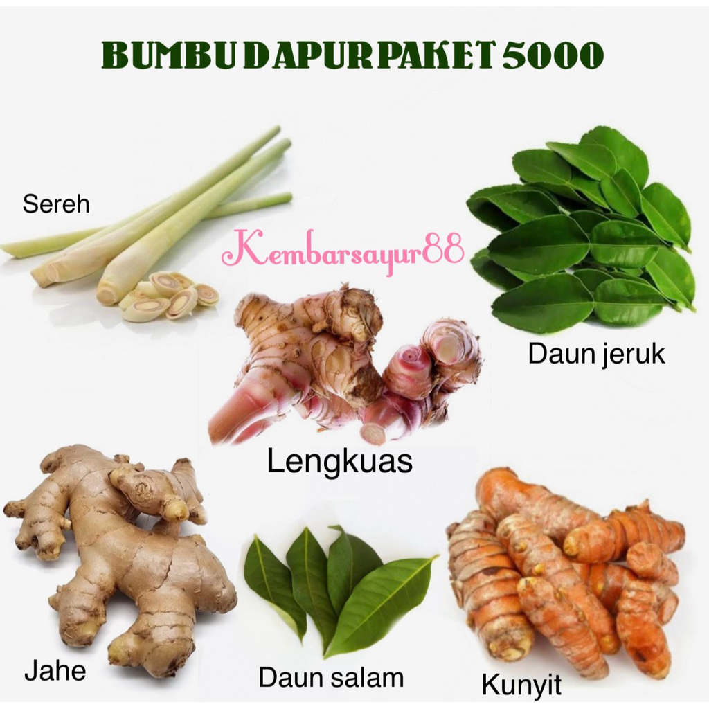 

Bumbu Dapur Paket 5000 an - Kembarsayur88