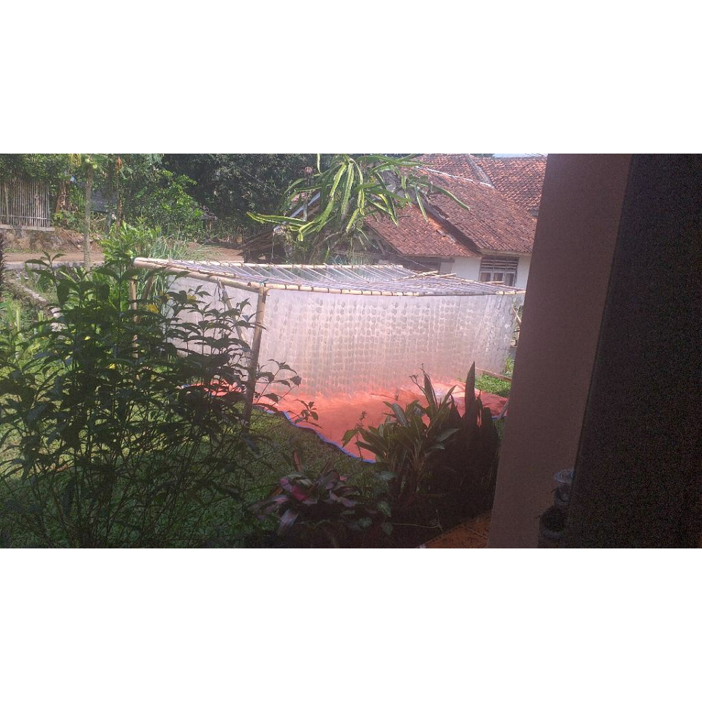 

Keripik kaca mentah siap di proses murah bangett cuma 17k lanhsung dari pabriknya