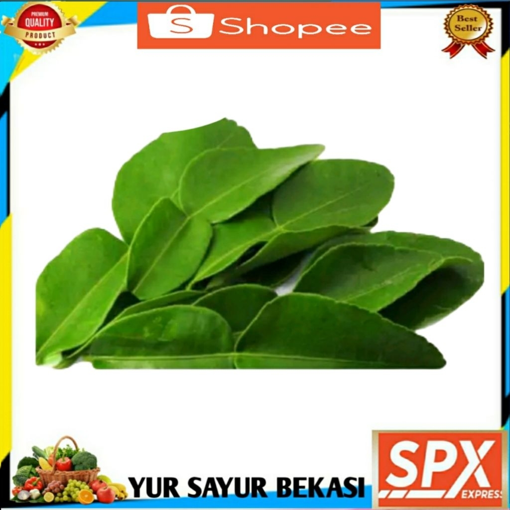 

Daun Jeruk Perbungkus.