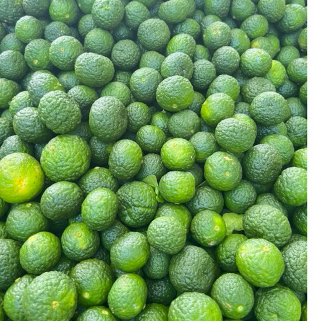 

1KG jeruk limau segar termurah/ jeruk limo sambal