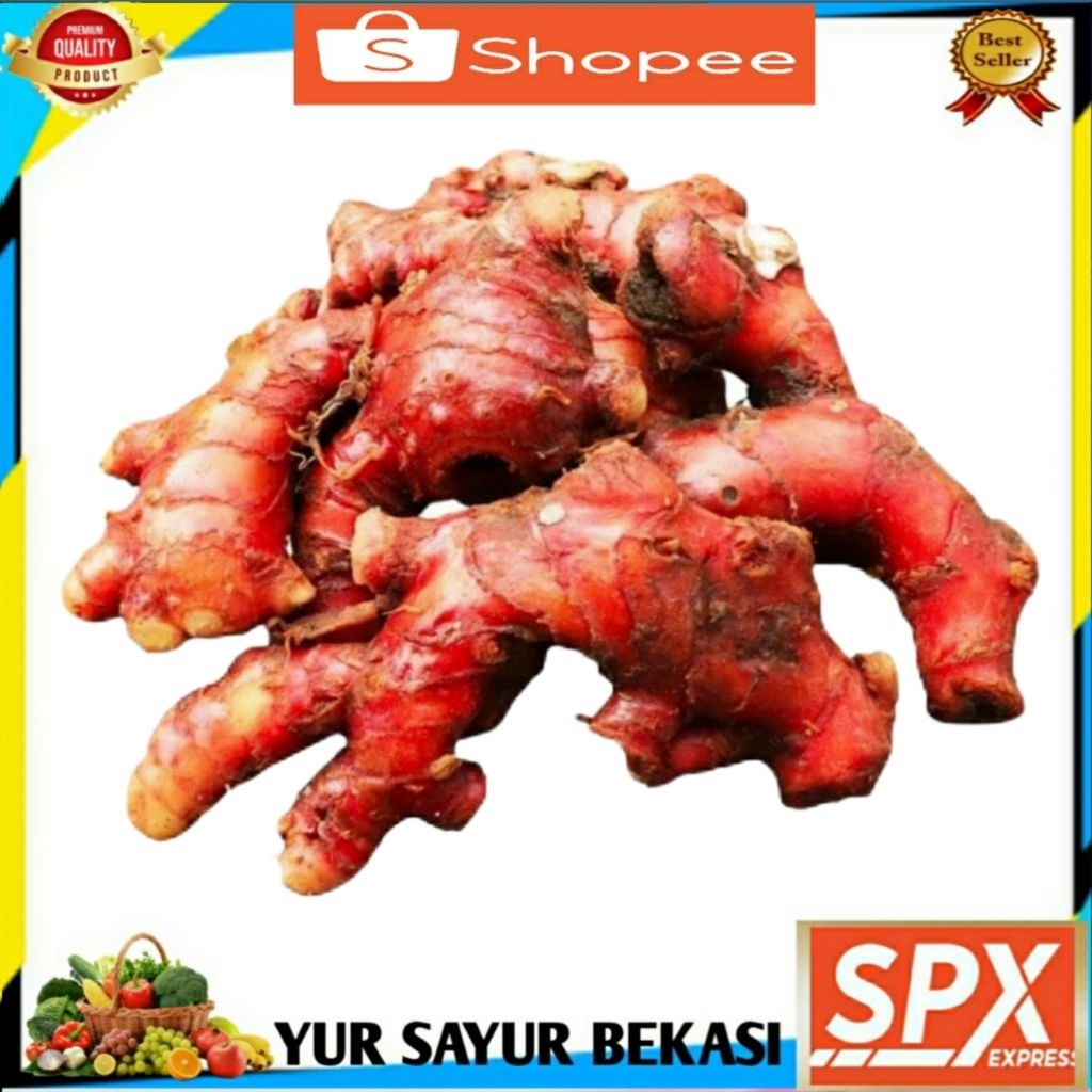 

Jahe Merah 250gr