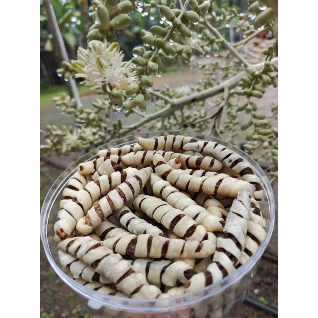 

Cemilan//Sale pisang Lilit 700grm