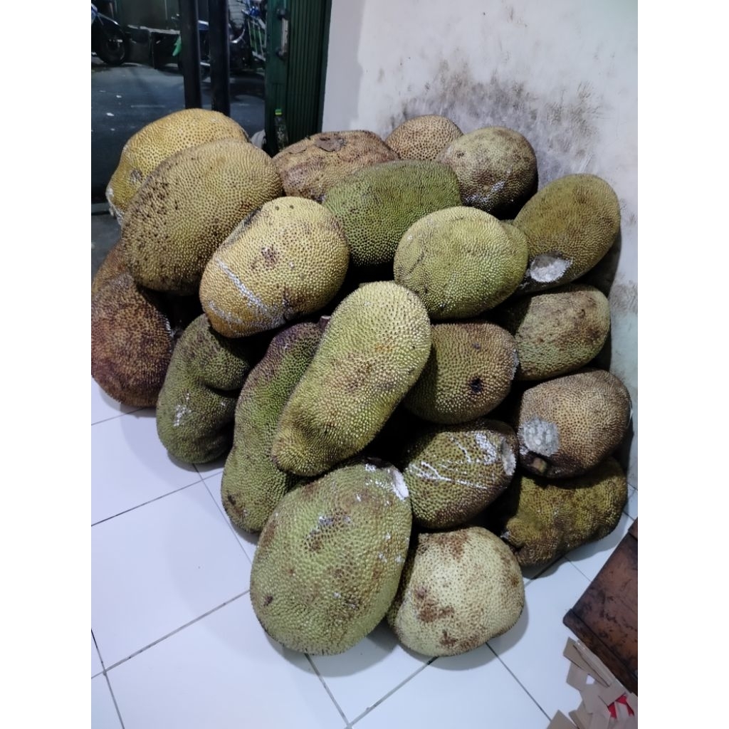 

buah nangka mateng /buah
