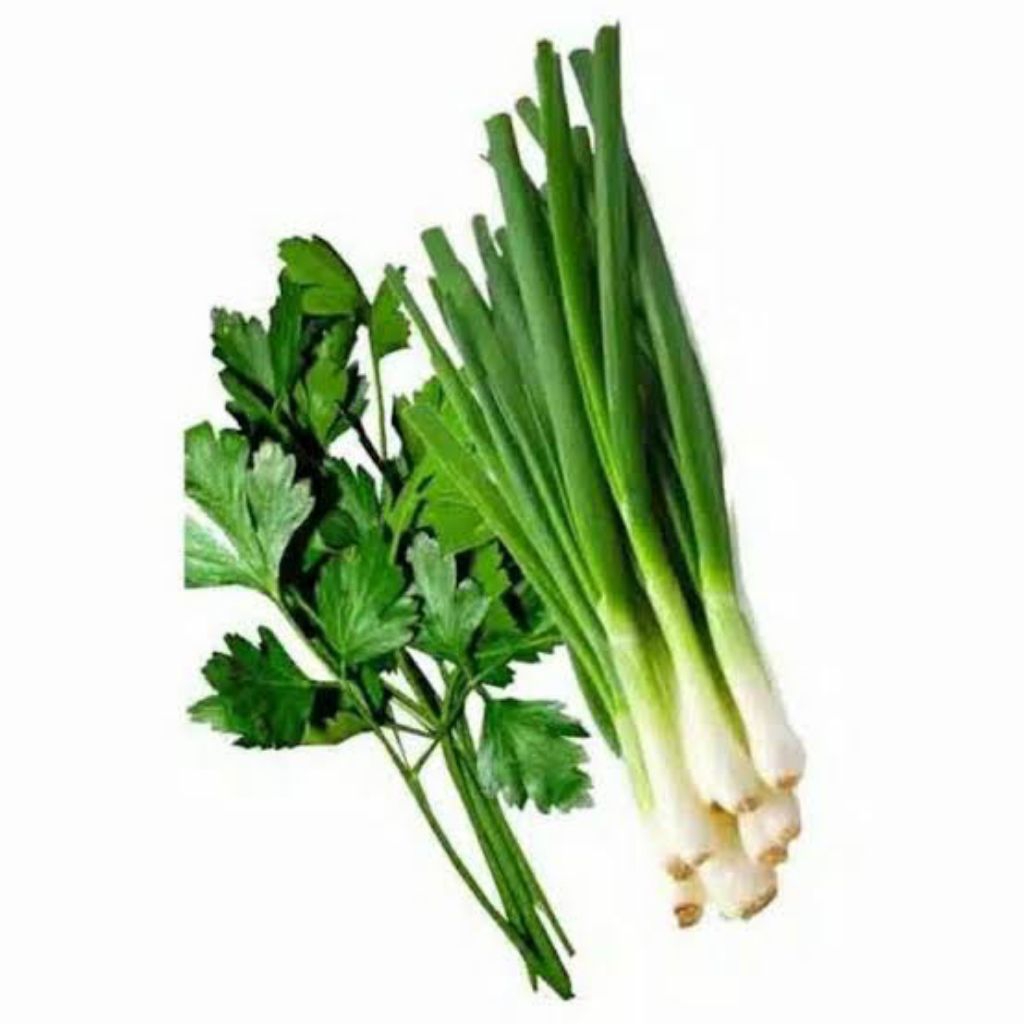 

Daun Seledri sop / Daun Bawang (Sayuran Segar)