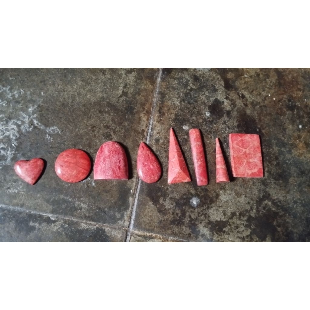 Batu Coral Laut / Sponge Laut