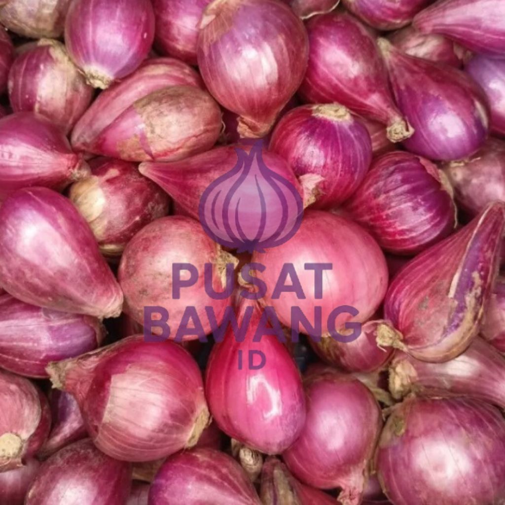 

Bawang merah 1kg asli Brebes