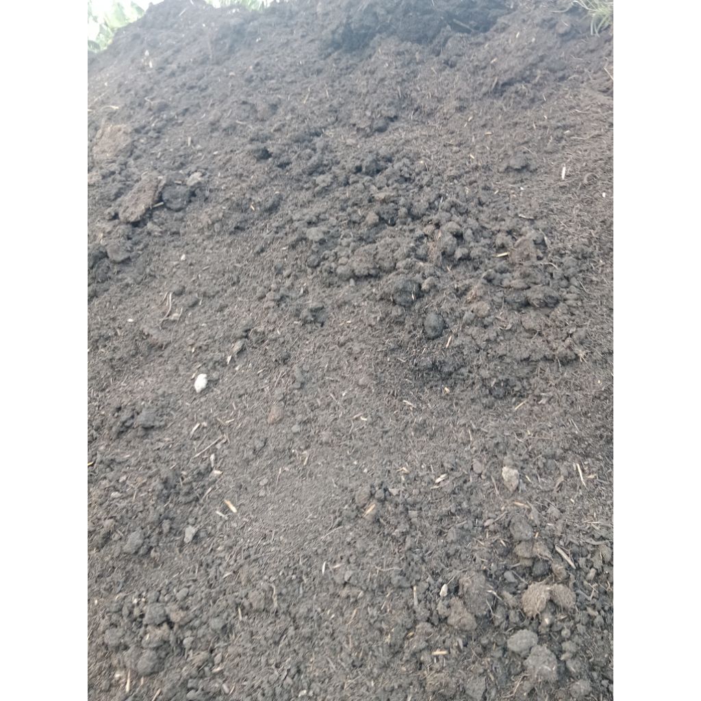 Blotong murni ampas tebu untuk pupuk organik 1kg