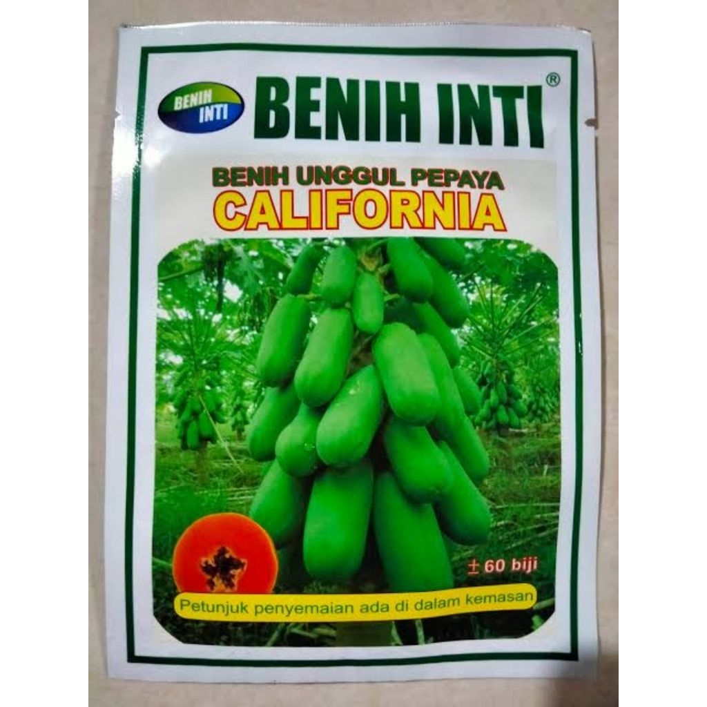 Benih Bibit Super Pepaya California Benih Inti 60 Biji 30 Gram Asli 100%