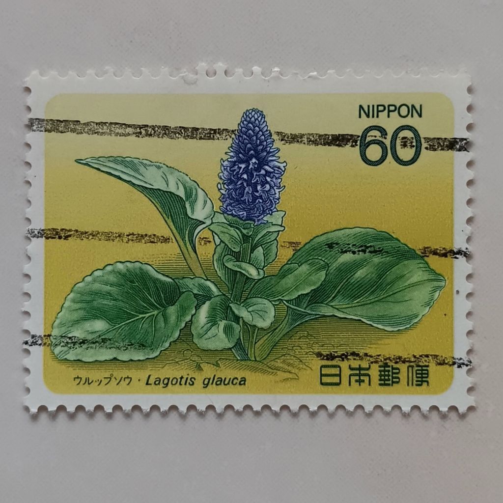 

(AA) Perangko Jepang 1984 Alpine Plants (1st series) - Alpine plant (Lagotis glauca) 60 yen Used