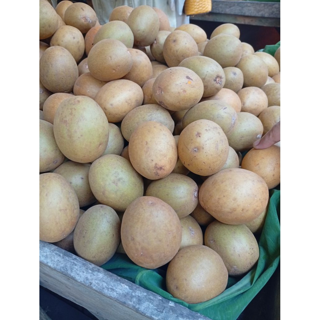 

buah sawo manis harga per 500gr