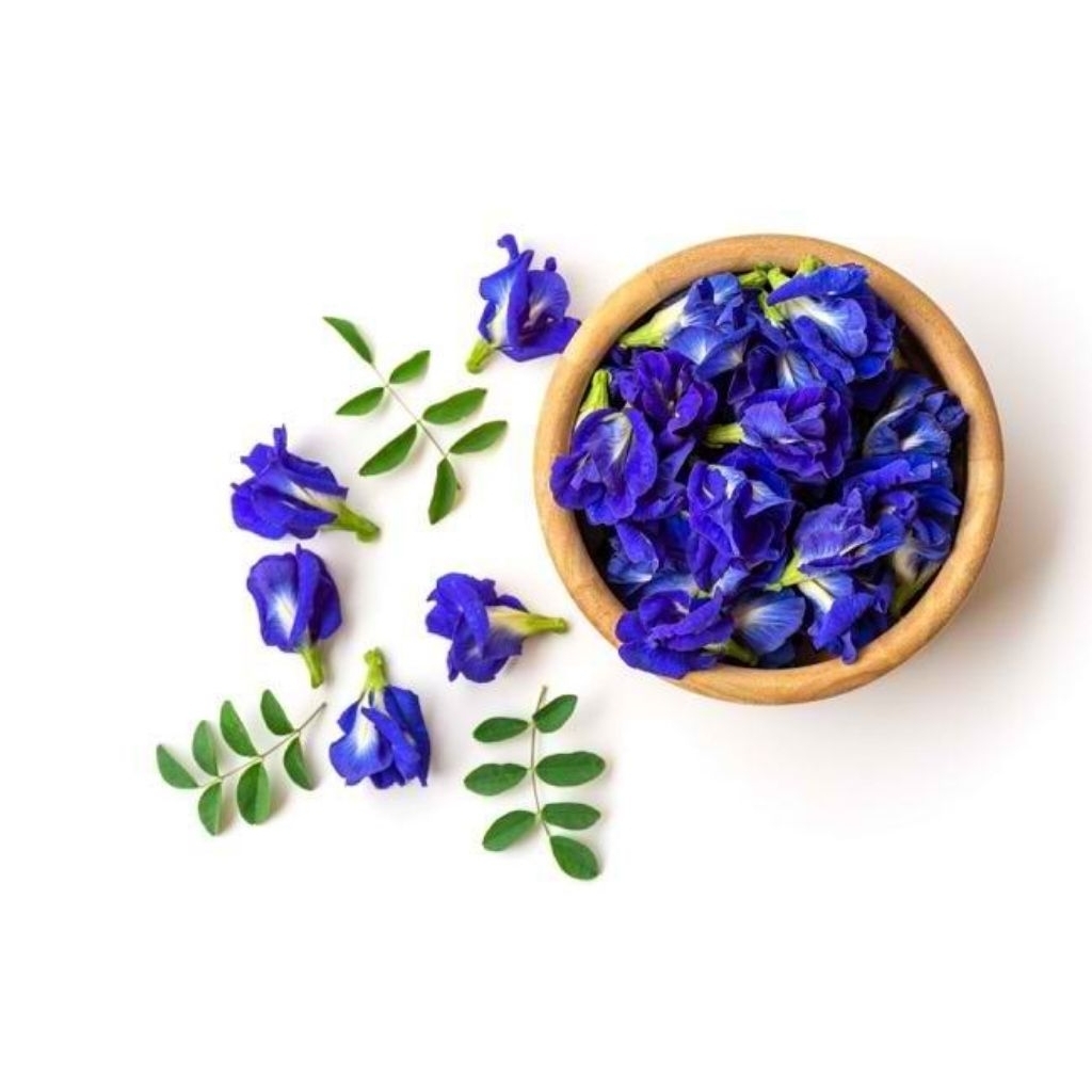 

Teh Bunga Telang basah 100gr Butterfly Pea isi 100 Gram