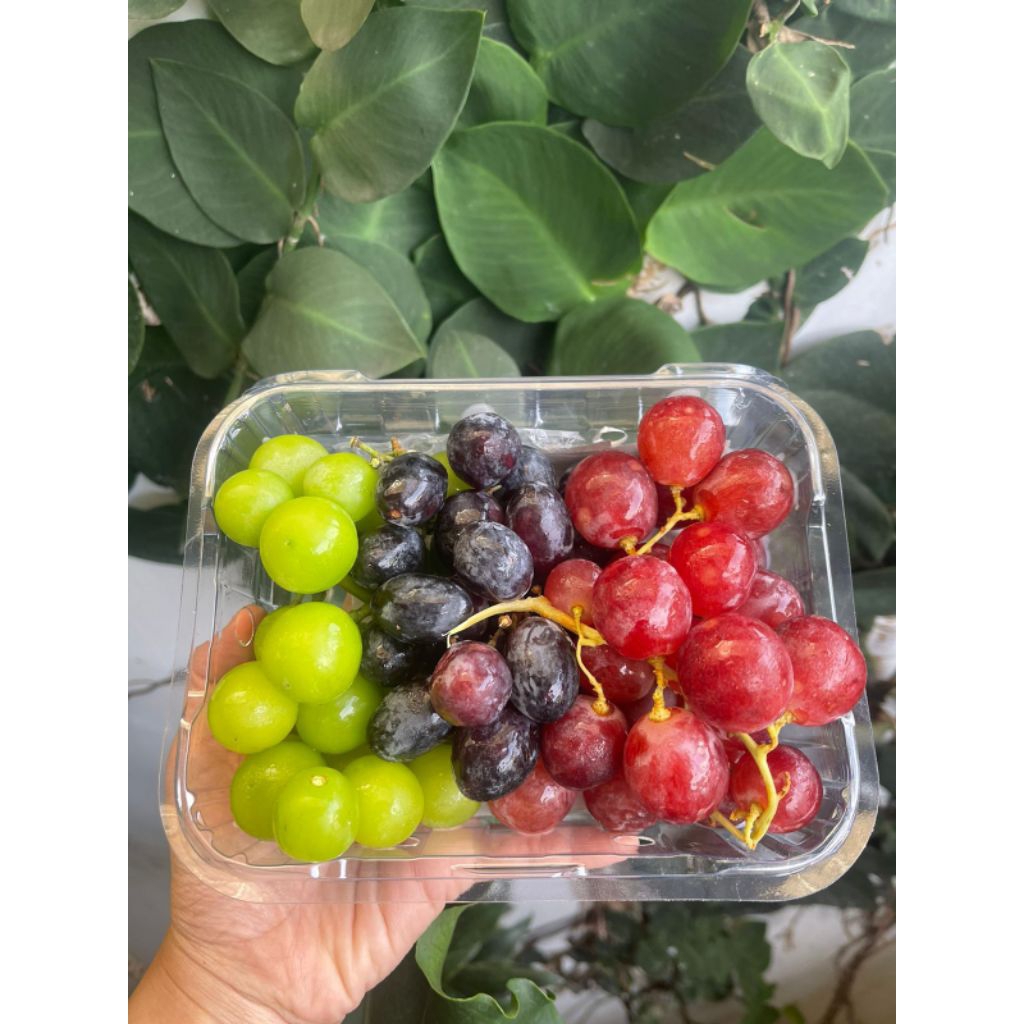 

Mix Grapes Anggur Mix Campur pack 500gr