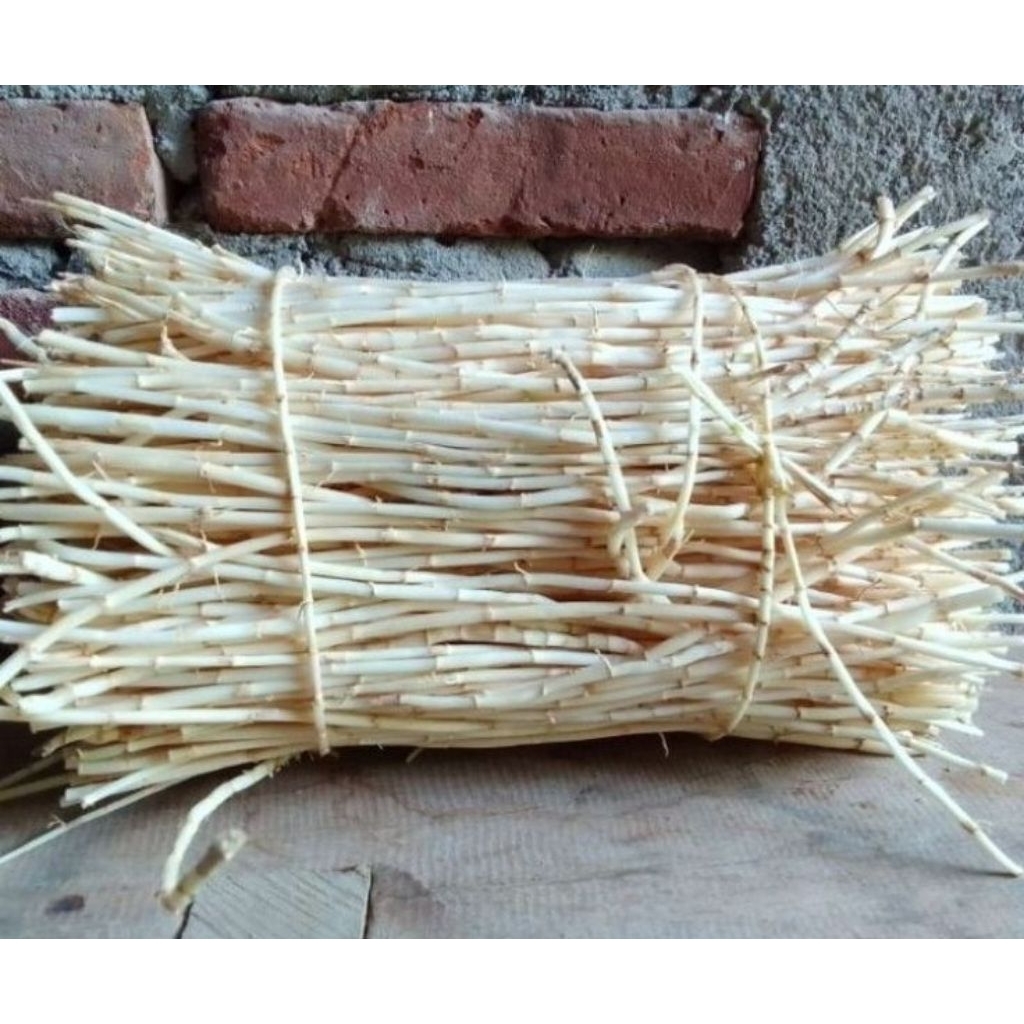 

akar alang alang segar obat herbal alami bert 1 kg