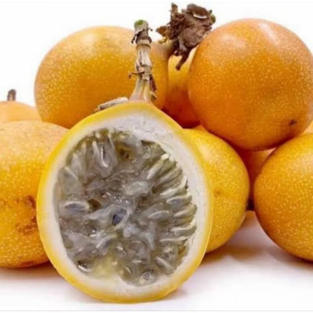 

Markisa/buah konyal manis segar dan fresss isi 500 gr