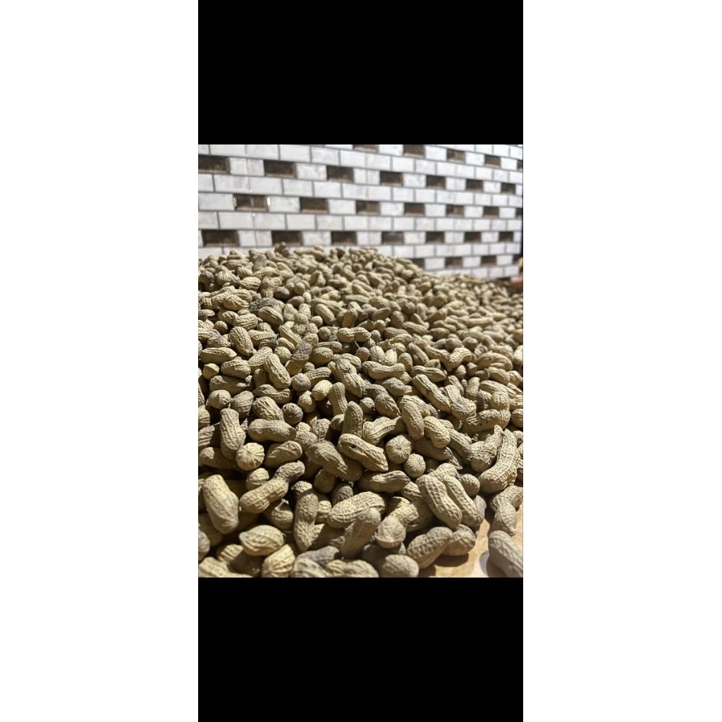 

kacang sangrai.madura.asli.gurih