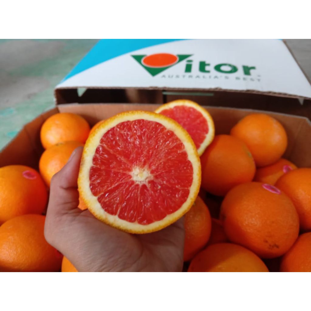 

JERUK SUNKIST CARA CARA AUSTRALIA 800 + 900gram.