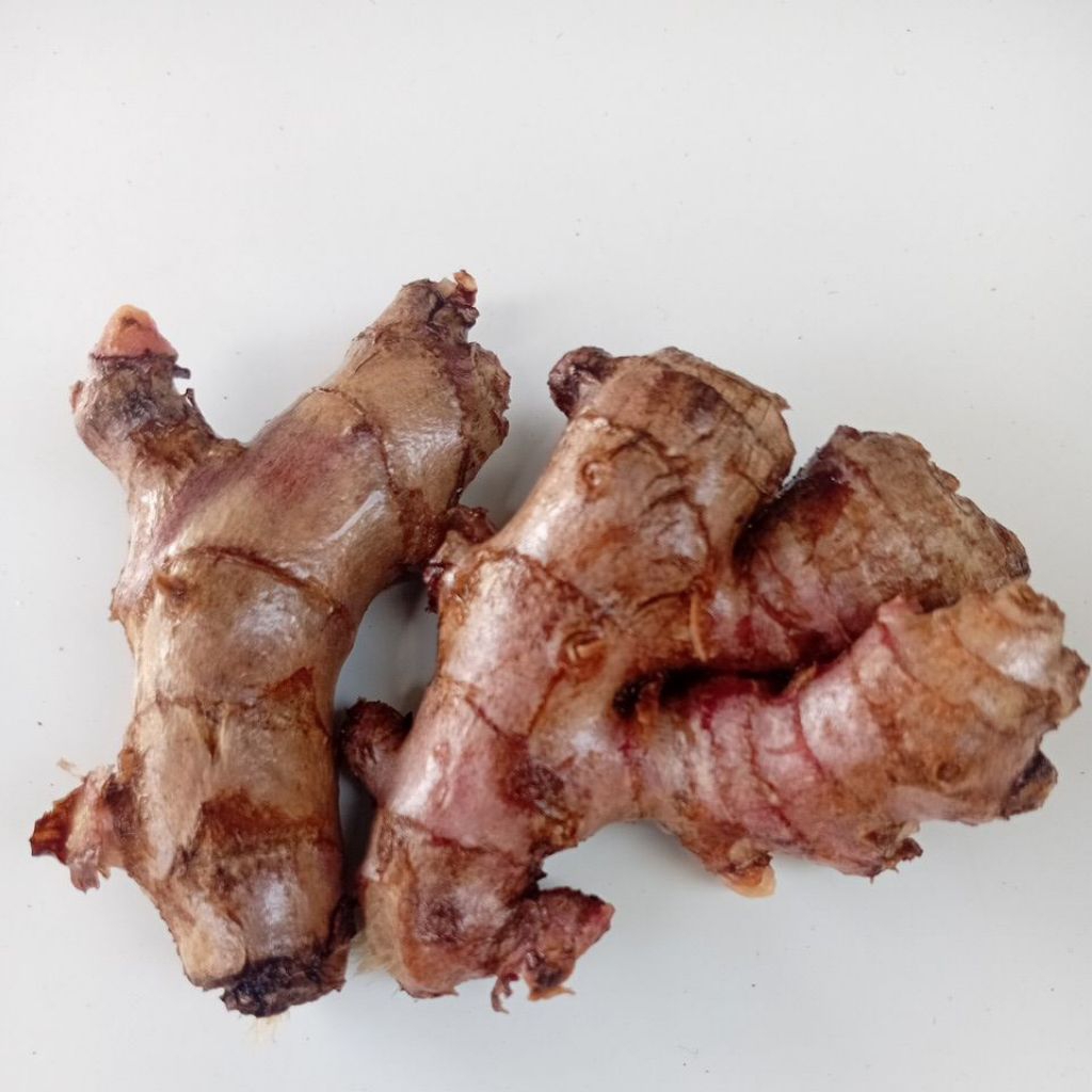 

Jahe Merah fresh rempah dan obat