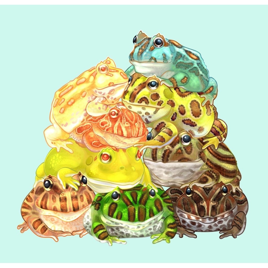 

stiker pacman frog grade A (mulus)