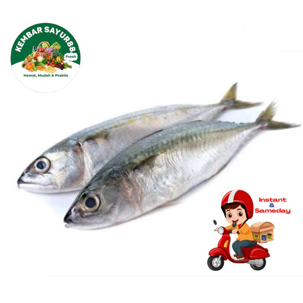 

Ikan Kembung segar -kembarsayur88