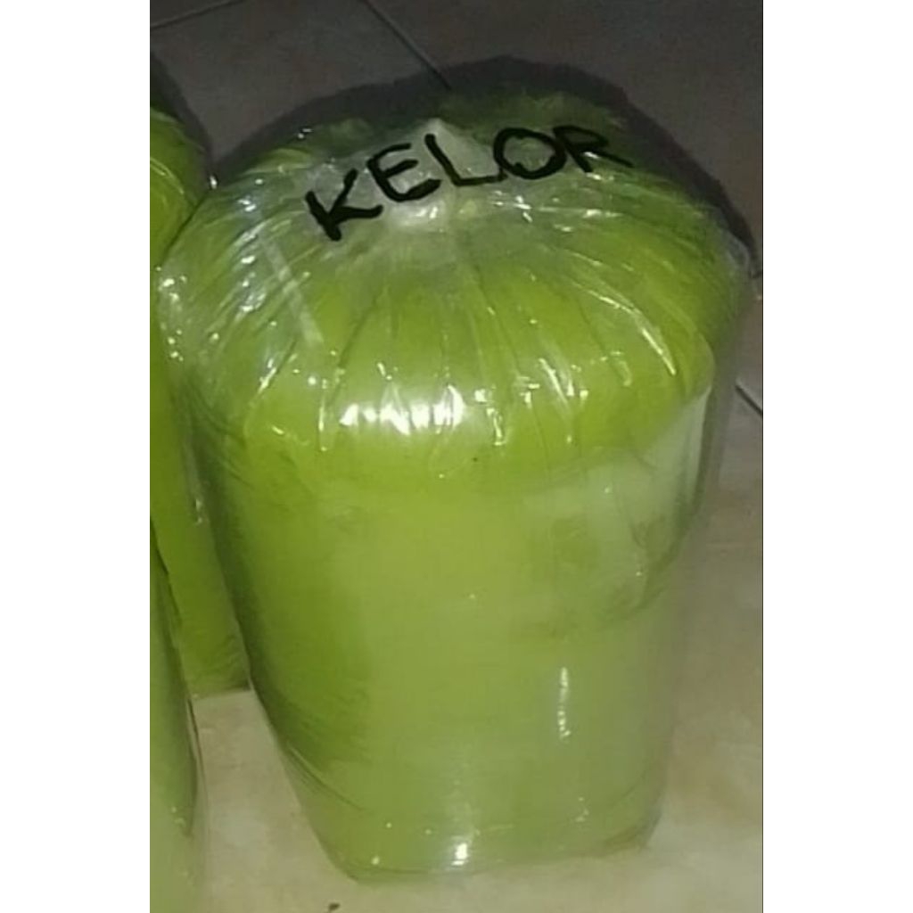 

bubuk daun kelor murni