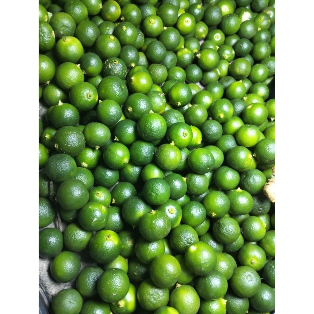 

jeruk sonkit/kasturi ukuran kecil